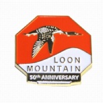 Pin/Badge