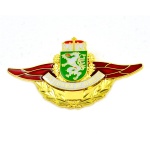 Custom gold plated military badge