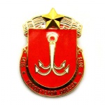 Gold plated hard enamel military badge